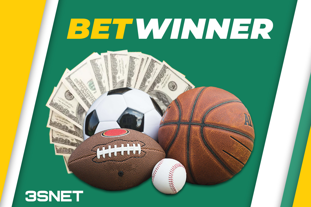Discovering the World of BetWinner Egypt Discovering the World of BetWinner Egypt
